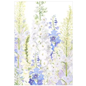 Hovedbilde Kort - Delphiniums