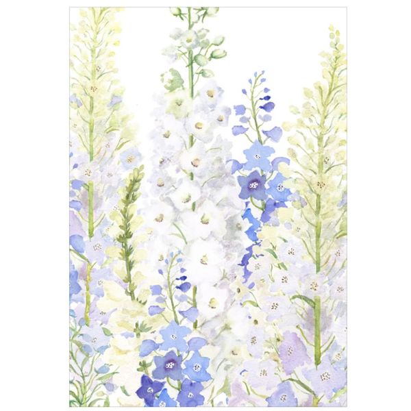 Kort - Delphiniums