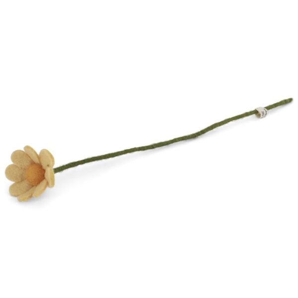 Ullblomst Anemone - lys gul 30cm