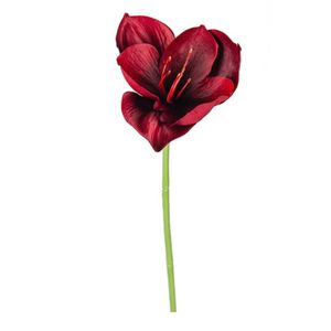 Hovedbilde Amaryllis r&oslash;d 40cm