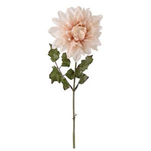 Hovedbilde Dahlia lys rosa 45cm