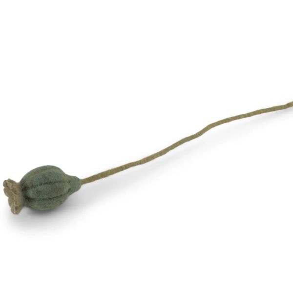 Valmue frøkapsel 46cm