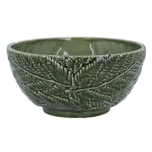 Hovedbilde Sk&aring;l gr&oslash;nn bregne 20cm