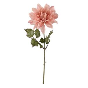 Hovedbilde Dahlia rosa 45cm