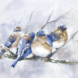 Hovedbilde Servietter Cuddly Birdies Blue - lunsj