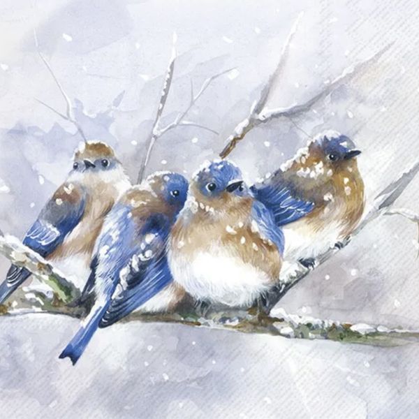 Servietter Cuddly Birdies Blue - lunsj