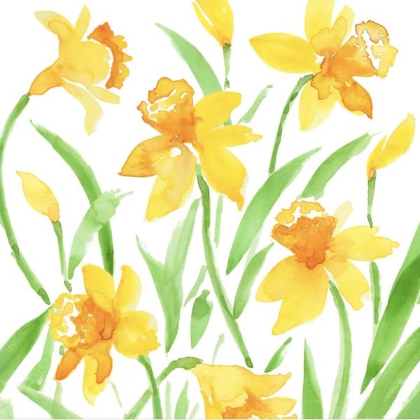 Servietter Spring Herald - middag